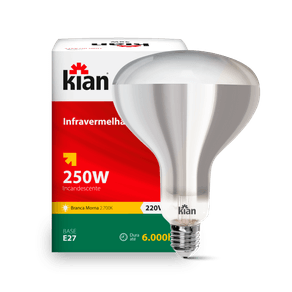 Lampada-Incandescente-Bulbo-R75-Aluminizado-250W-Base-E27-220V-Kian