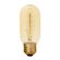 Lampada-Antique-Incadescente-T45-40W-2-700K-Branca-Quente-127V--Kian