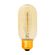 Lampada-Antique-Incadescente-T45-40W-2-700K-Branca-Quente-220V--Kian